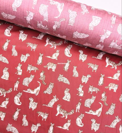 LT280B 动物系列胶囊限定 MEOW 喵星日常 红色 猫咪 269元/米 商品图4