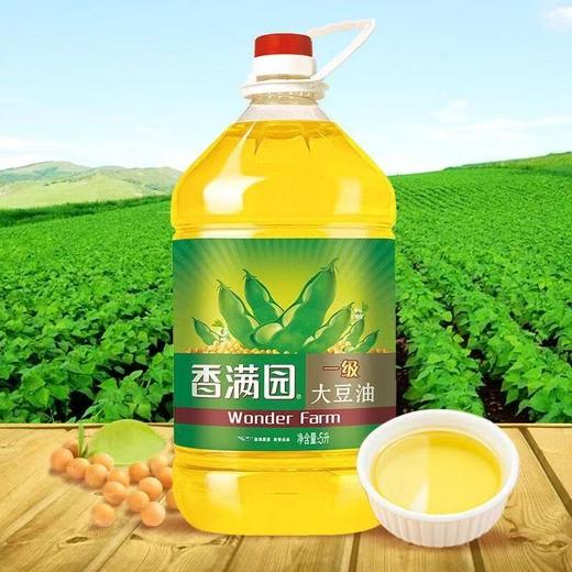香满园一级大豆油5L(非转基因) 商品图1