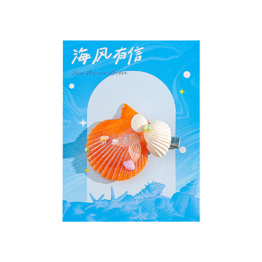 【夏日海洋·真贝壳冰箱贴】海螺贝壳五角海星冰箱贴磁性贴 商品图9