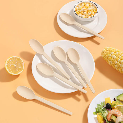【批发】美丽雅玉米淀粉基厚韧餐勺 商品图3