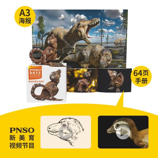 PNSO幼年霸王龙亚伦恐龙大王成长陪伴模型26 商品图1