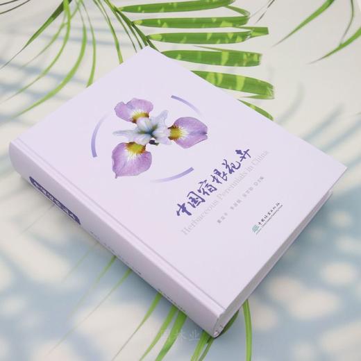 中国宿根花卉 &3261 商品图2