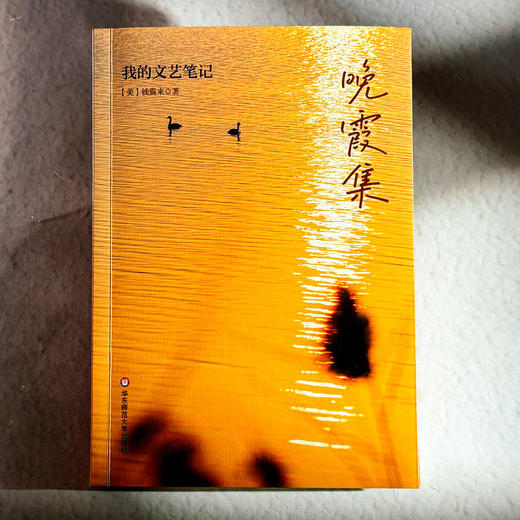 晚霞集 我的文艺笔记 钱震来 随笔集 音乐文学评论 商品图1