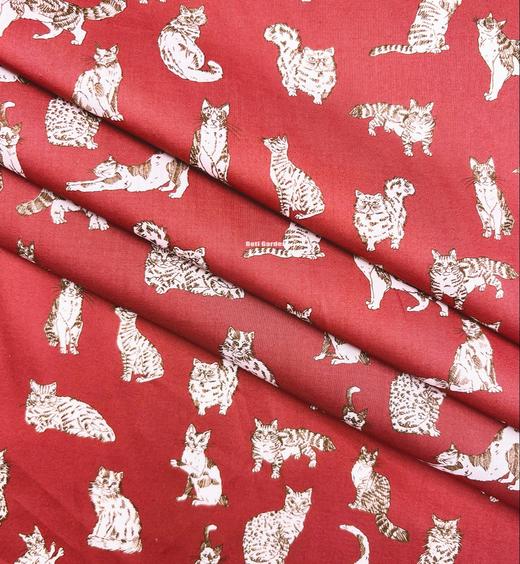 LT280B 动物系列胶囊限定 MEOW 喵星日常 红色 猫咪 269元/米 商品图3