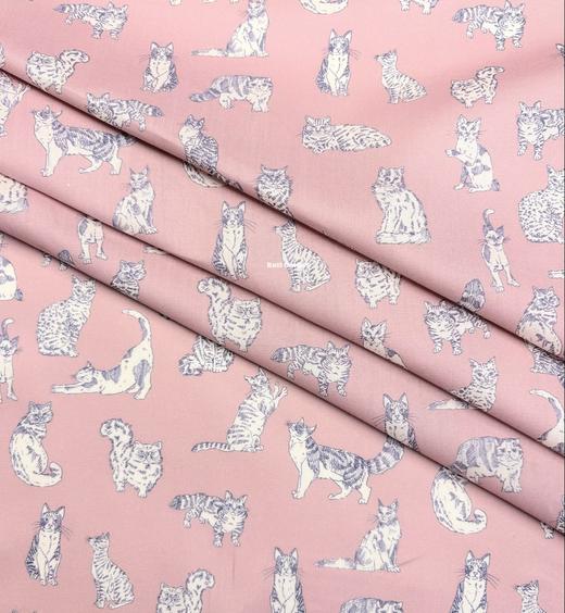 LT280A 动物系列胶囊限定 MEOW 喵星日常 粉色 猫咪 邮费到付 269元/米 商品图2
