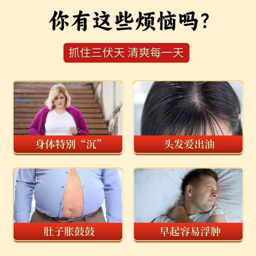 【五虎茯湿茶】5种好药材配伍，上中下三焦祛湿，疏通全身气机！ 商品图1