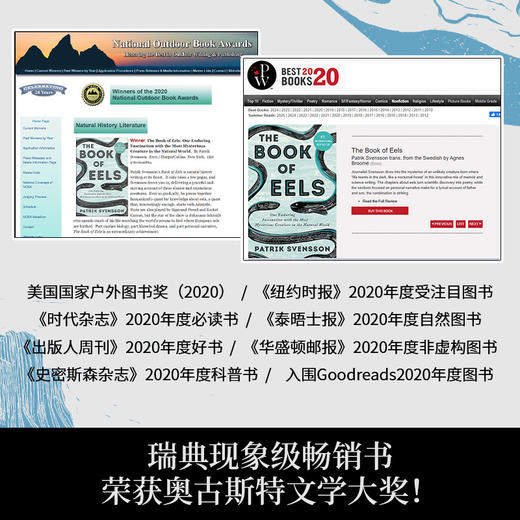 鳗鱼的旅行 十六届文津奖推荐图书 荣获奥古斯特文学大奖 商品图2