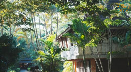 西双版纳6天亲子营（2025夏令营） 商品图9