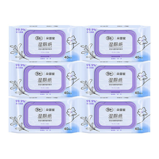 洁柔 湿厕纸40片*6包(新旧款式随机) JR0DMS406B 商品图0