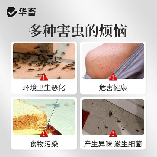 呋虫胺杀虫剂蟑螂跳蚤蚂蚁小飞虫臭虫苍蝇药家用室内专用驱虫喷雾 商品图2