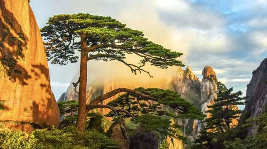 景德镇黄山6天亲子营（2025夏令营） 商品图8