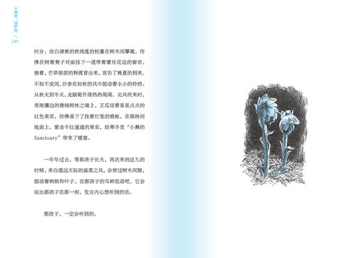 西魔女之死  〔日〕梨木香步/著  （8~14岁）治愈书 治愈文学 植物治愈 心理疗愈 祖孙亲情 成长小说 外婆的道歉信 勿忘我 魔法象 广西师范大学出版社 商品图7