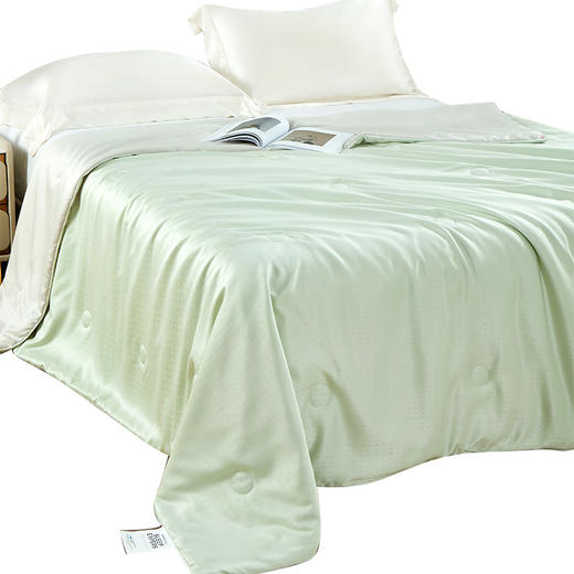 金丝莉 新竹被JB-1329/JB-1330 商品图5