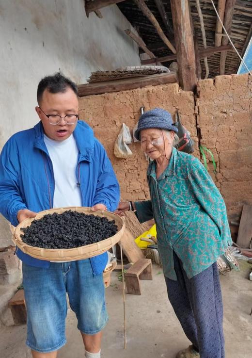 【大凉山野生老树桑葚干】自然晒干·0农药无添加丨蚕农古法种植丨花青素爆表丨泡茶泡酒养生佳品 商品图3