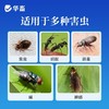 呋虫胺杀虫剂蟑螂跳蚤蚂蚁小飞虫臭虫苍蝇药家用室内专用驱虫喷雾 商品缩略图5