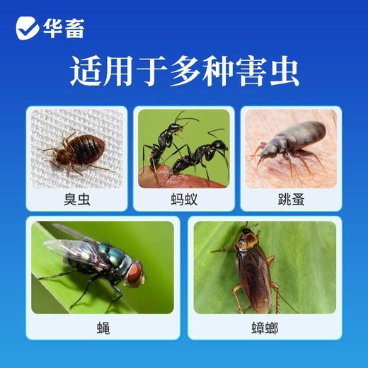 呋虫胺杀虫剂蟑螂跳蚤蚂蚁小飞虫臭虫苍蝇药家用室内专用驱虫喷雾 商品图5