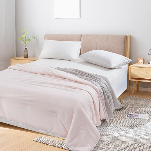 金丝莉 温香软玉蚕丝被JB-1385/JB-1386 商品图1