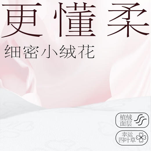 洁柔 湿厕纸40片*6包(新旧款式随机) JR0DMS406B 商品图2