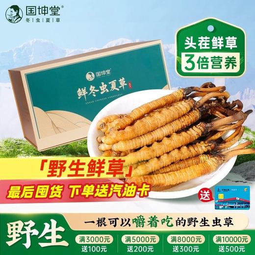 【 中小草0.4-0.5包月套餐】国坤堂 那曲鲜虫草 商品图0