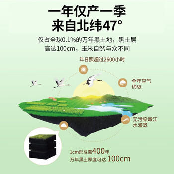 北纬47°爆爆甜水果玉米2.4斤(200g*6根) 东北白甜玉米棒开袋即食鲜玉米 /粮油调味 /杂粮 /谷米类 商品图7