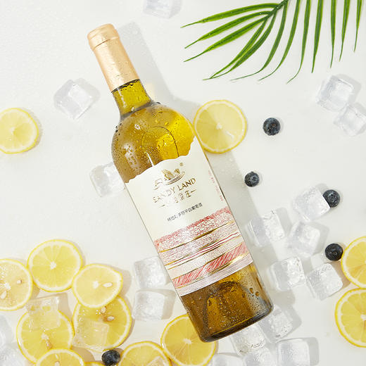 沙地·点金石霞多丽干白葡萄酒（裸瓶）750ml*6  热带水果香气 酸度适中 商品图1