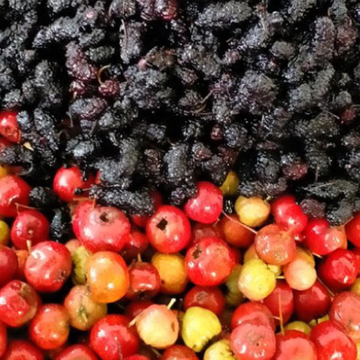 基地直发 | 陈皮桑葚山楂条300g/罐*2 商品图1