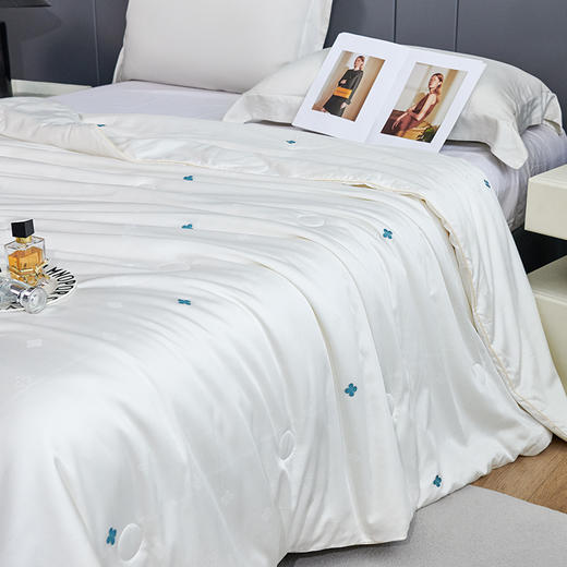 金丝莉 匠心甄选蚕丝被JB-1352/JB-1353 商品图1