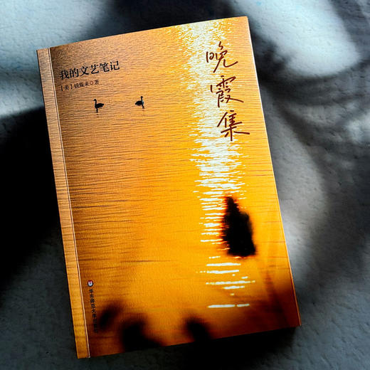 晚霞集 我的文艺笔记 钱震来 随笔集 音乐文学评论 商品图4