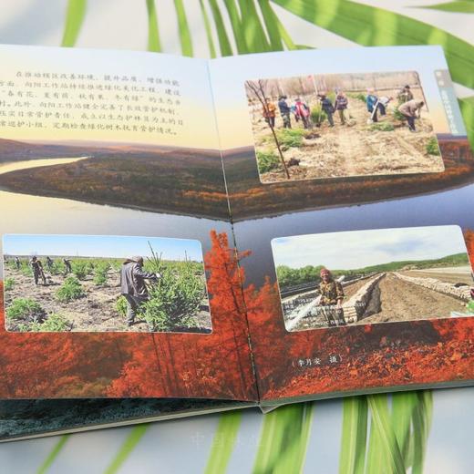 林业草原科普读本 中国林业工作站 &3246 商品图4
