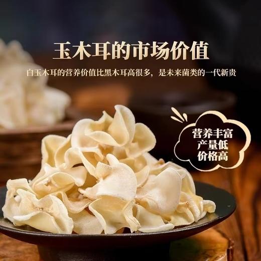 漾魏玉木耳  80g 商品图2