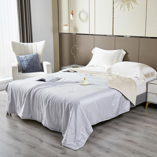 金丝莉 美拉德蚕丝被JB-1305/JB-1306/JB-1307 商品图0