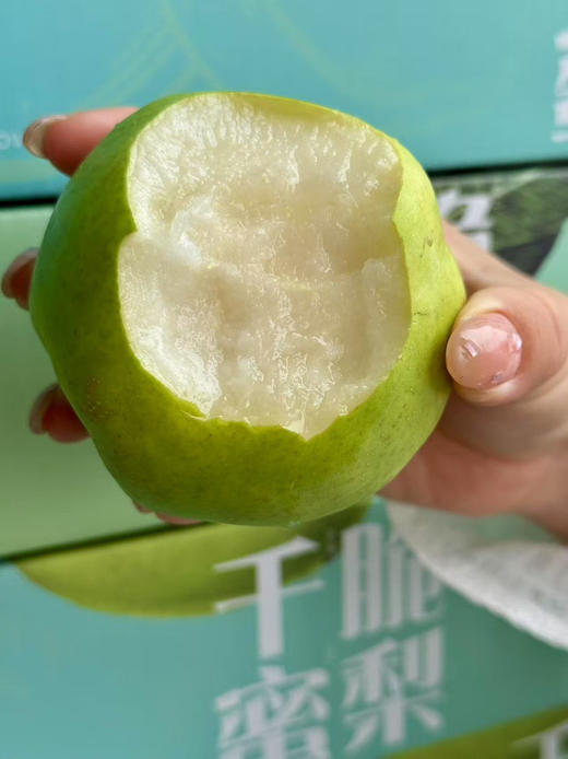 顺丰包邮到家！老树千脆蜜梨新鲜采摘🍐甘甜多汁、皮薄核小，入口酥脆无渣，而且肉质细腻白嫩，清甜解腻爽口极了😋被誉为夏日里的『六月雪』5斤/箱 商品图0