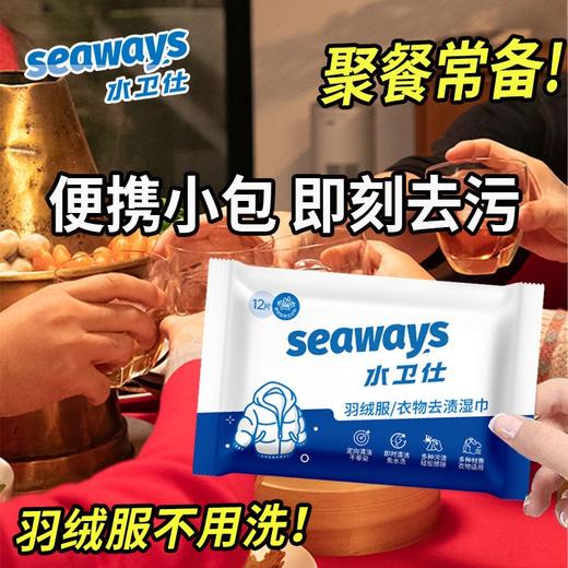 水卫仕羽绒服清洁湿巾12片免手洗不伤衣可爱小包湿巾随身携带去污神器效期27年1月 商品图1