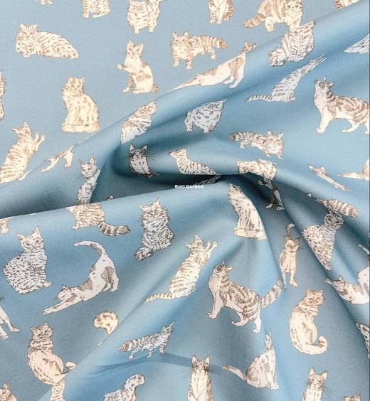 LT280C 动物系列胶囊限定 MEOW 喵星日常 蓝色 猫咪 邮费到付 269元/米 商品图3