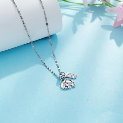 【限时8.8折】【线上铂金馆】PT950 #卡通 #福象系列 铂金空心调节纳福牌卡通吉象Q萌墩墩象套链(PTTL00228)预售产品下单后不退款不退货不换货不补差价) 商品图1