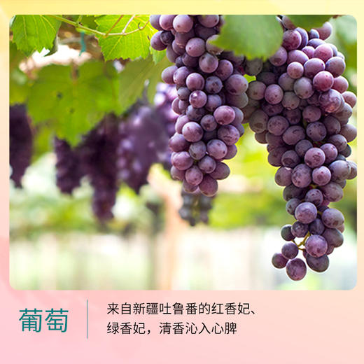 【广州帮扶】燕联丨大鲜香葡萄干（立式袋装）300g 商品图2