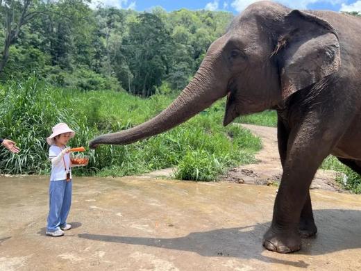 西双版纳6天亲子营（2025夏令营） 商品图7