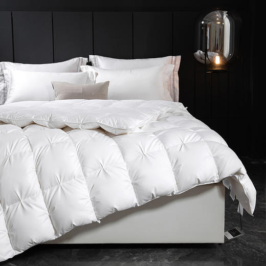 佑家·95白鹅绒冬被·200*230cm  防钻绒工艺 全棉面料 透气不闷汗 商品图2