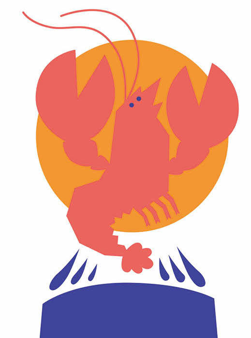 《魔法象法语大奖书屋》全三辑（共15册） 商品图12