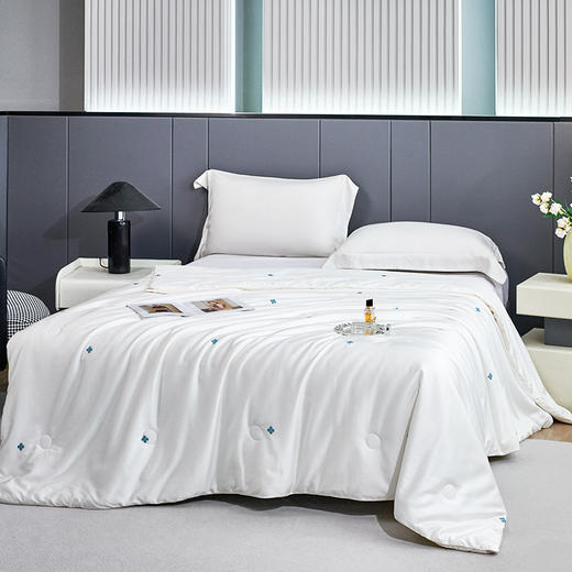 金丝莉 匠心甄选蚕丝被JB-1352/JB-1353 商品图0