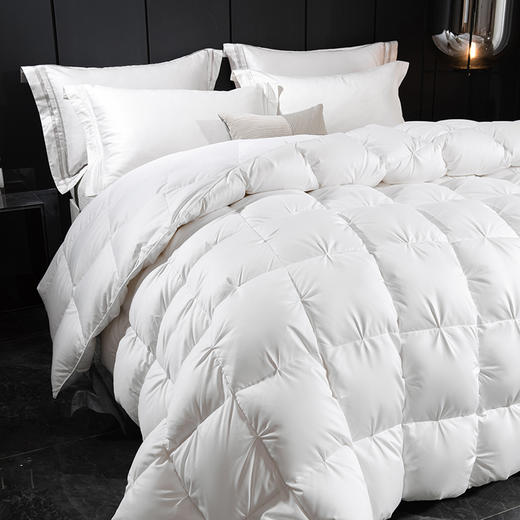 佑家·95白鹅绒冬被·200*230cm  防钻绒工艺 全棉面料 透气不闷汗 商品图1