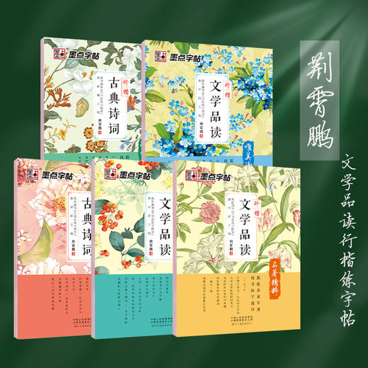 墨点字帖练字大学生行楷古风男古诗词散文字帖女生字体漂亮高中生速成唯美练字帖成年初学者临摹钢笔行楷字帖 商品图4