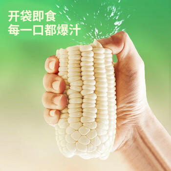 北纬47°爆爆甜水果玉米2.4斤(200g*6根) 东北白甜玉米棒开袋即食鲜玉米 /粮油调味 /杂粮 /谷米类 商品图4