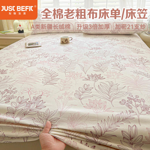 【品牌直发】加倍生活 新款A类全棉老粗布床单/床笠三件套 四季可用纯棉枕套 新疆长绒棉 7A抗菌防螨 可水洗机洗 商品图1