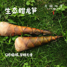 【周二周五发货】生态甜龙笋（基地直发-顺丰包邮）| 多种规格，来自广州市从化区，生产者：黄新【合作生产，公平贸易】