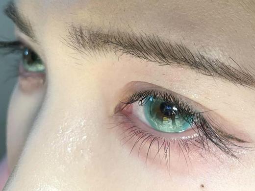 isoralook 半年抛 小岛四叶草 直径14.5mm着色14.2mm 商品图3