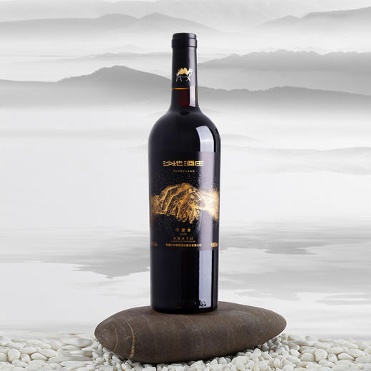 沙地·守望者2020赤霞珠干红葡萄酒（卡盒)750ml*6 口感圆润多汁 醒酒后层次更丰富 商品图3