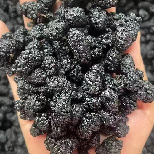 【大凉山野生老树桑葚干】自然晒干·0农药无添加丨蚕农古法种植丨花青素爆表丨泡茶泡酒养生佳品 商品图6