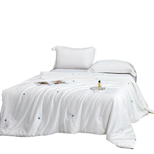 金丝莉 匠心甄选蚕丝被JB-1352/JB-1353 商品图5