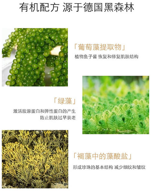 【清仓好价】德国安娜柏林植物鱼子酱紧致保湿精华液30ML（效期至26年） 商品图2